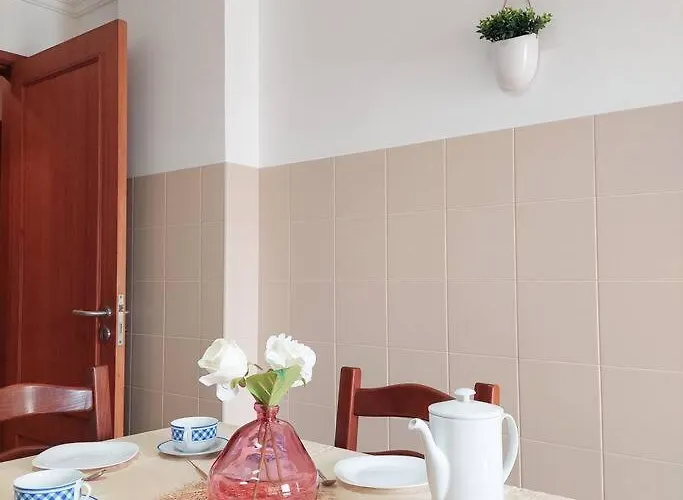 By The Garden 蓬塔德尔加达